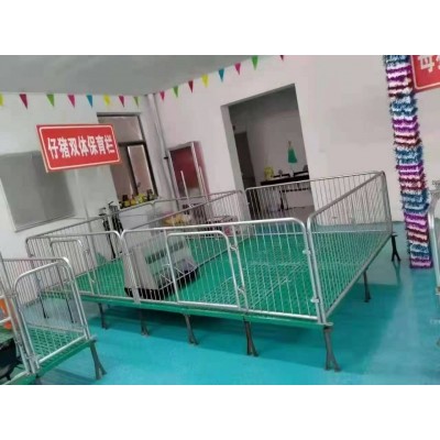 母猪产床双体产床小猪复合保温箱商家供应