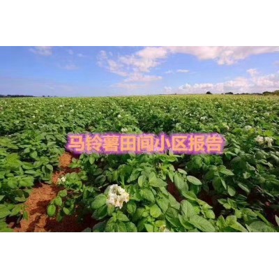 代办农业部肥料登记证扩增加作物使用作物范围-青州德丰徐经理