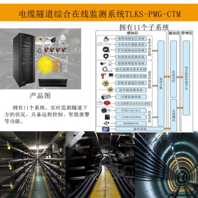 电缆隧道有害气体监测系统-分布式光纤测温系统-隧道监控系统