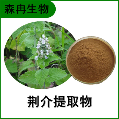 森冉生物 荆介提取物 线芥提取物 比例提取原料粉